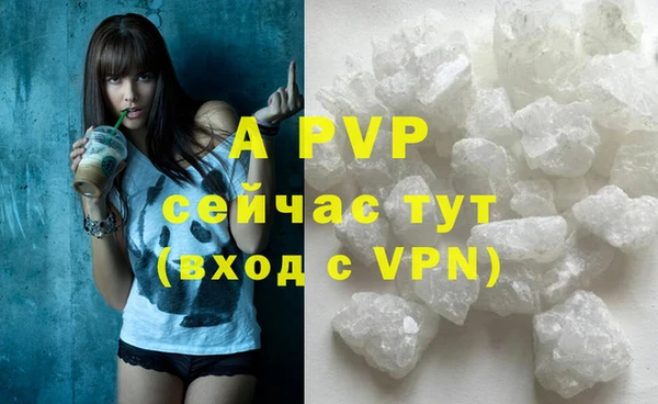 ПСИЛОЦИБИНОВЫЕ ГРИБЫ Кулебаки